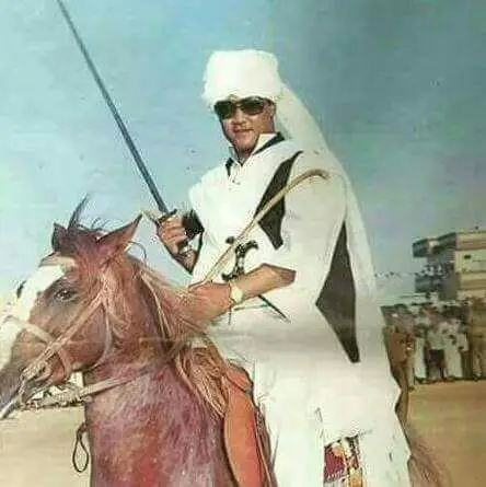 النميري الجواد الاصيل