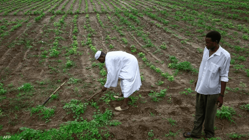 مشروع الجزيرة الزراعي